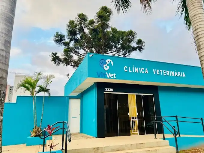 Recepção da Clínica Veterinária Vit Vet em São Carlos