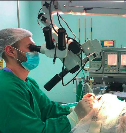Dr. Humberto Santos — Oftalmologia Clínica e Cirúrgica na Vit Vet, São Carlos